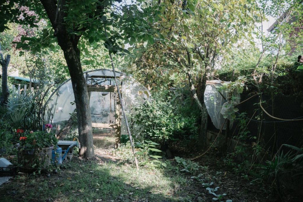 Greenhouse in the Middles of a well-maintained Backyard full of growing green plants.