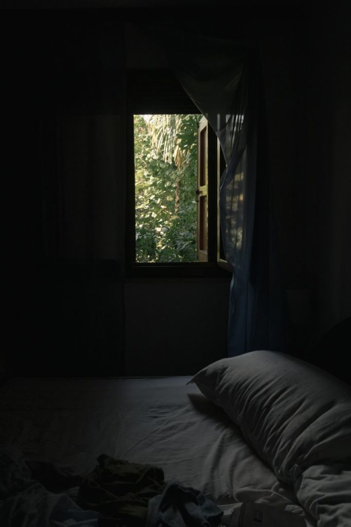 View of the Wild vegetation growing in the backyard from a bedroom window. Dark scene indoor with the bright light coming from the opening