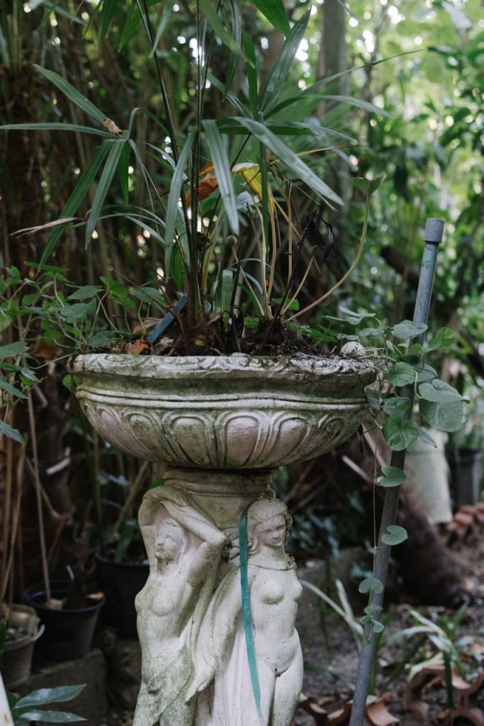 Roman Ancient inspired Plant pot in the middle of the Backyard vegetation